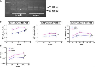 Sex Differences in the Pro-Angiogenic Response of Human Endothelial Cells: Focus on PFKFB3 and FAK Activation